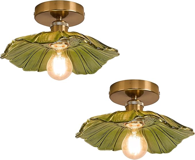 Flush Mount Ceiling Light with Clear Glass Shade. E27