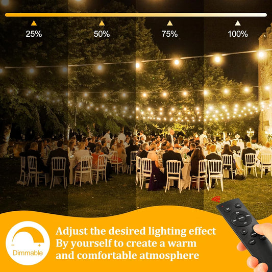 100ft Outdoor Festoon String Lights with Remote Control