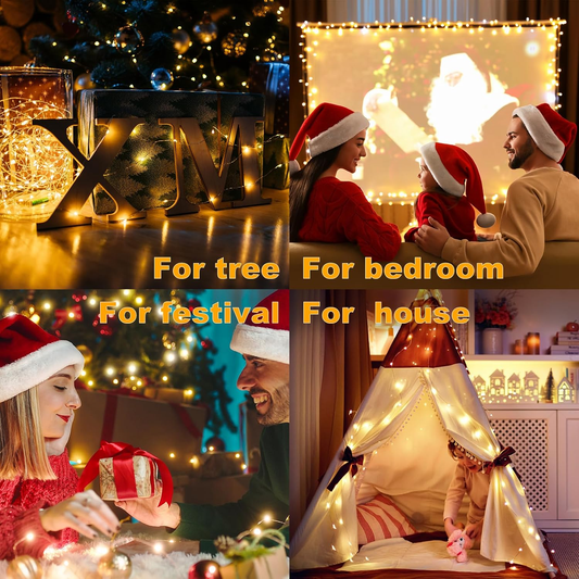 Firefly Outdoor fairy lights