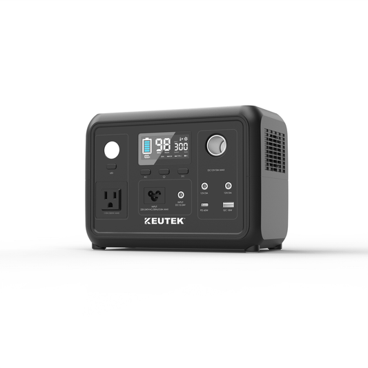 300W Portable Power Station Max (LiFePO₄. 600W Peak)