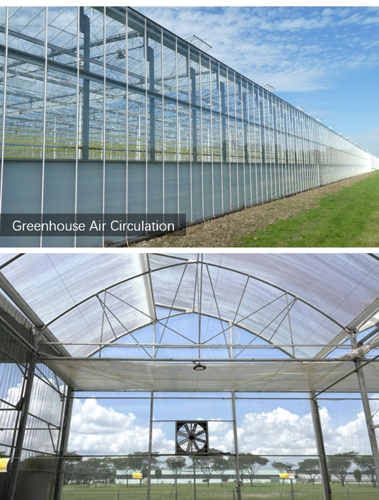 ILG-54-Solar-S : iLIVING 54 Inch Mobile Industrial Floor Fan. 375W. 28000 CFM High Velocity Cooling. Smart App & Remote Control. Mobile Wheeled Design. IP68 Waterproof. Washdown. Quiet Brushless DC Motor