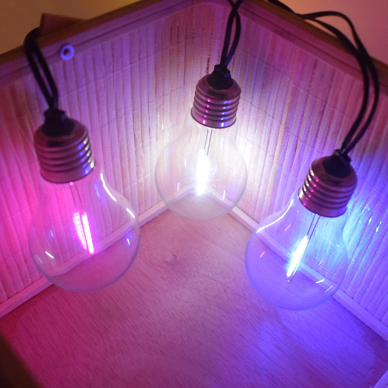 Guirlande solaire de jardin 10 Ampoule LED multicolore