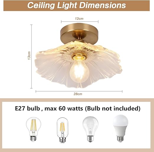 Flush Mount Ceiling Light with Clear Glass Shade. E27