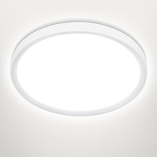 24W LED Ceiling Light. 5000K Daylight. IP44. 2200LM Ø28.5cm Flush Mount