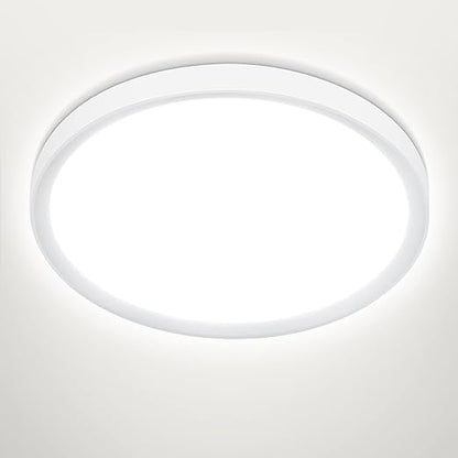 24W LED Ceiling Light. 5000K Daylight. IP44. 2200LM Ø28.5cm Flush Mount