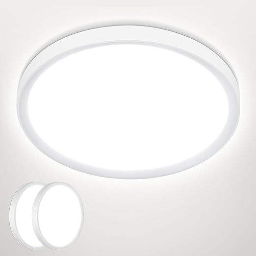 24W LED Ceiling Light. 5000K Daylight. IP44. 2200LM Ø28.5cm Flush Mount