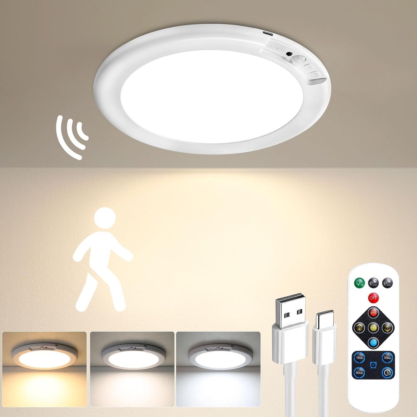 Motion Sensor Ceiling Light with Remote