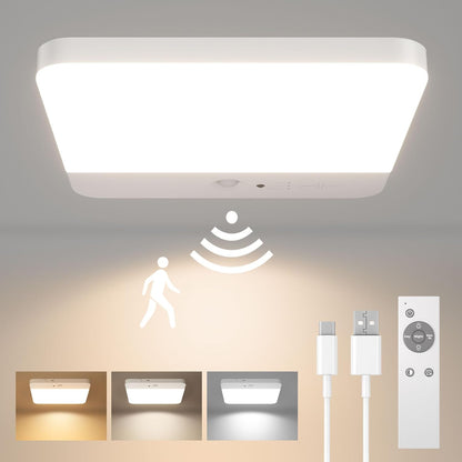 Motion Sensor Shower Ceiling Light