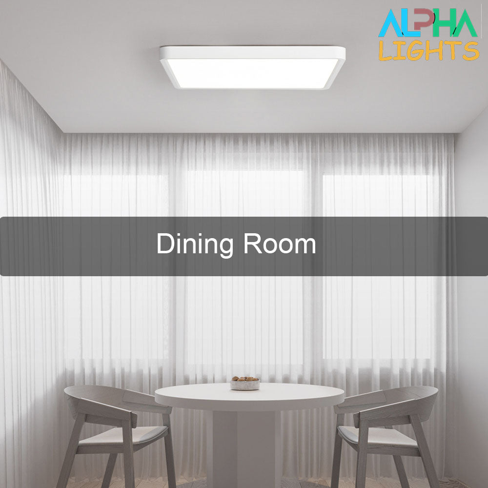 48W LED Panel Ceiling Light – 20 Inch Flush Mount White Fixture for Kitchen. Bedroom & Living Room