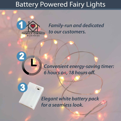 LED Outdoor Fairy lights