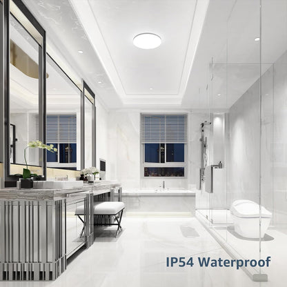 24W Modern Flush Ceiling lights