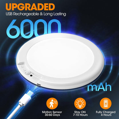 Motion Sensor Ceiling Light with Remote