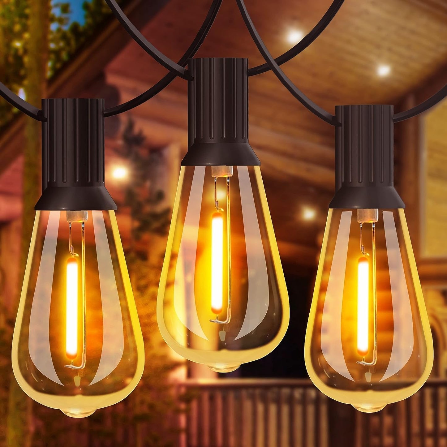 49ft LED Filament Festoon Lights