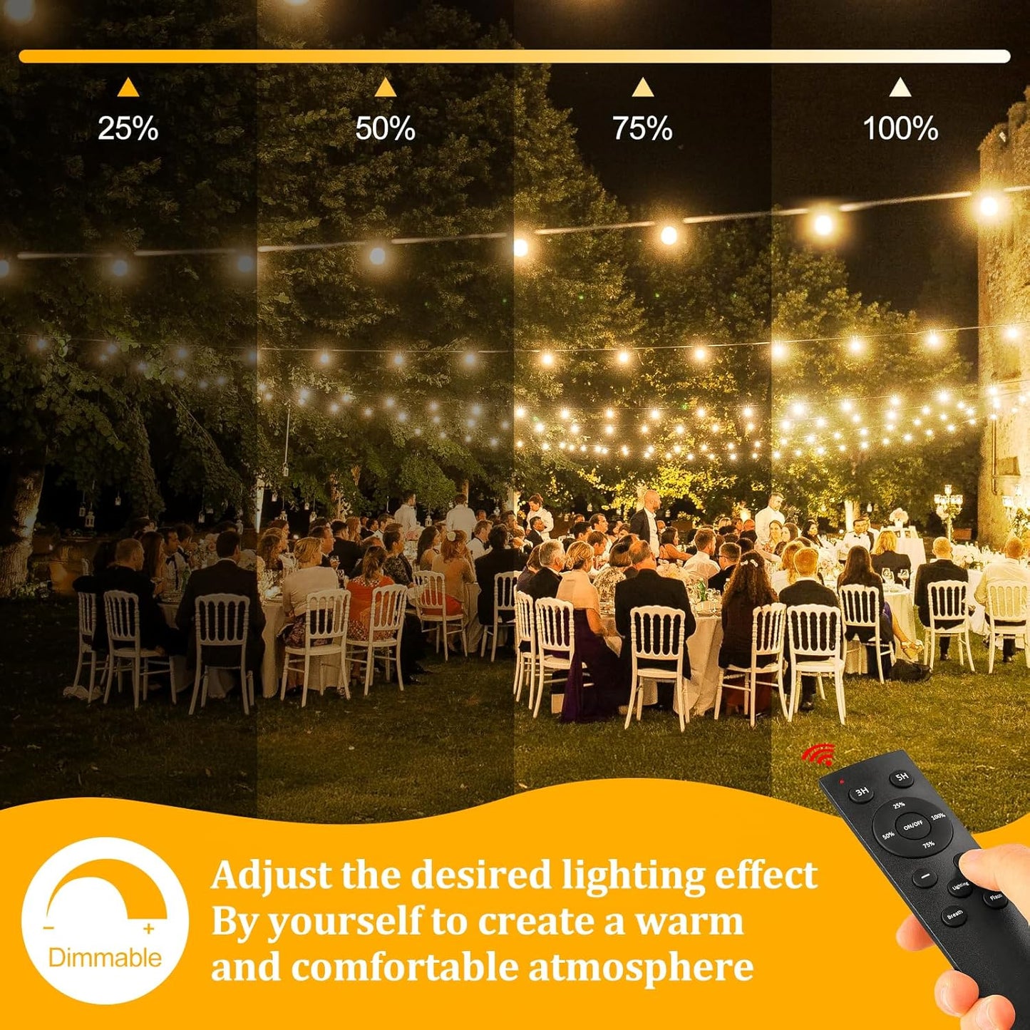 100ft Outdoor Festoon String Lights with Remote Control