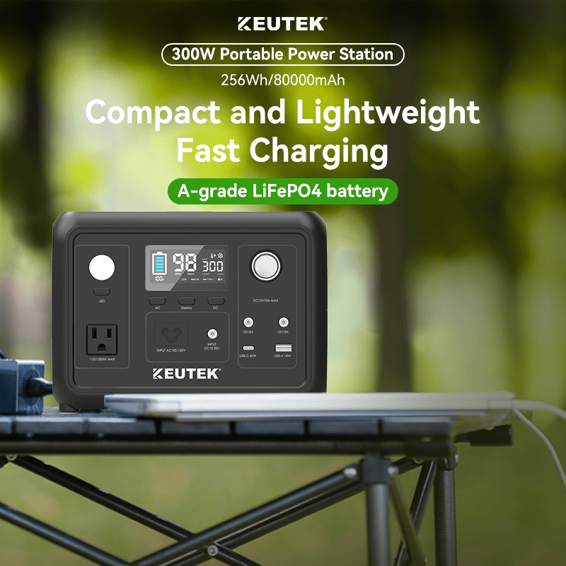 300W Portable Power Station Max (LiFePO₄. 600W Peak)