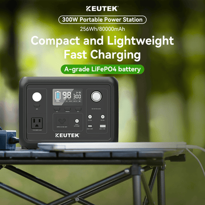 300W Portable Power Station Max (LiFePO₄. 600W Peak)