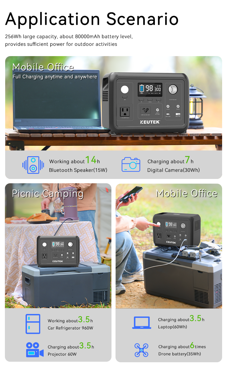 300W Portable Power Station Max (LiFePO₄. 600W Peak)