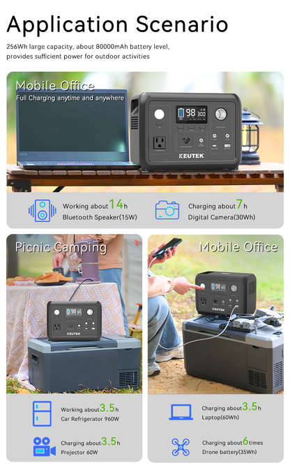 300W Portable Power Station Max (LiFePO₄. 600W Peak)