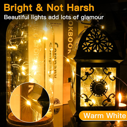 5m 50 LED Fairy Lights
