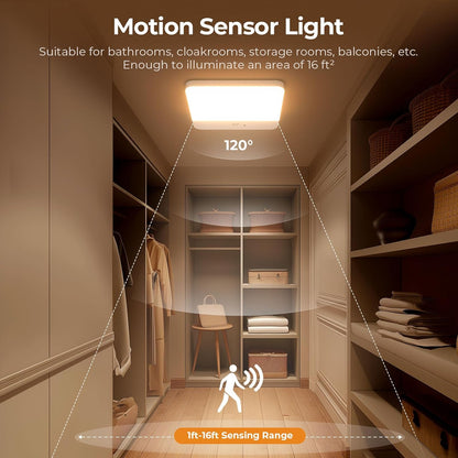 Motion Sensor Shower Ceiling Light