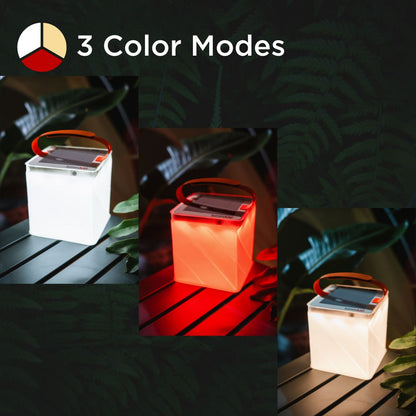 Survivor 3-Pack