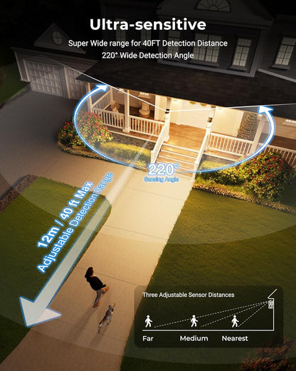 Outdoor Wall Lantern with Motion Sensor. Dusk-to-Dawn Black
