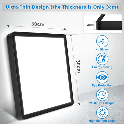 24W LED Ceiling Light. Flush Mount. IP54 Waterproof Fixture