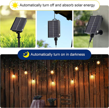 Festoons Bulb fairy String Lights