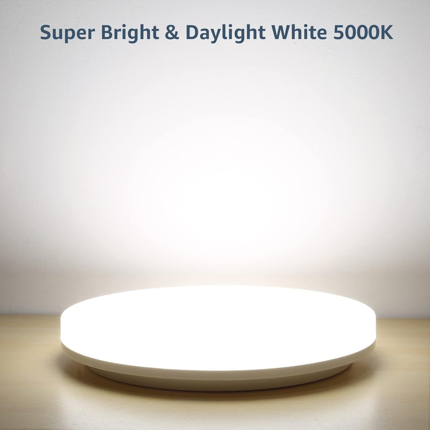 2 Pack 48W LED Ceiling Light