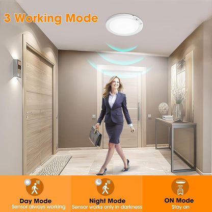Motion Sensor Ceiling Light with Remote
