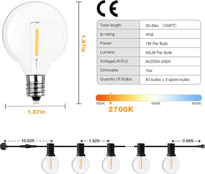 30M/100FT Outdoor Festoon String Lights with Timer