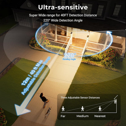 Porch Light Outdoor with Motion Sensor. Dusk-to-Dawn Black