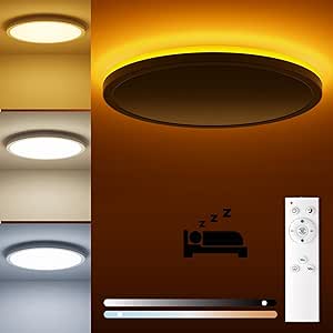 18W Dimmable LED Ceiling Light with Remote. Adjustable 22cm Round Lamp