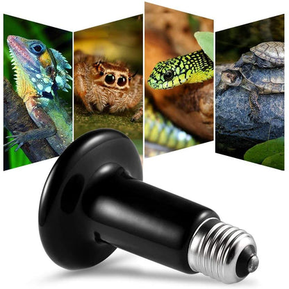 100W E27 Infrared Terrarium Reptile Heat Lamp for tuertles. turtles