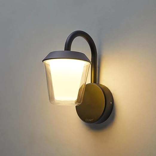 Outdoor Lantern Wall Light