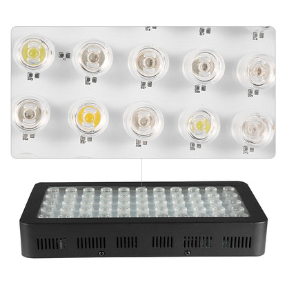 Dimmable Full Spectrum Fish Tank Aquarium Lights