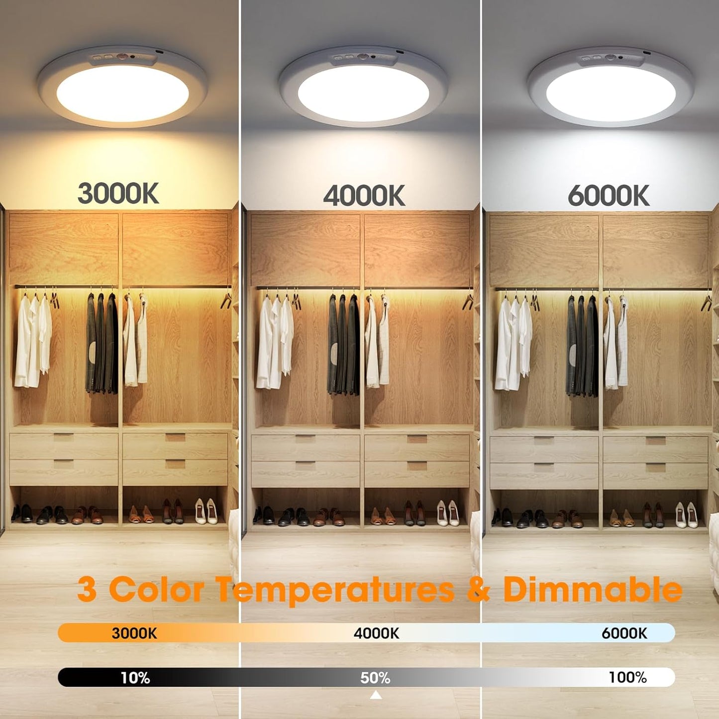 Motion Sensor Ceiling Light with Remote