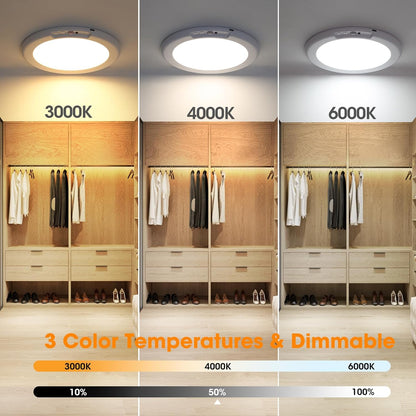 Motion Sensor Ceiling Light with Remote