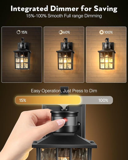 Outdoor Wall Lantern with Motion Sensor. Dusk-to-Dawn Black