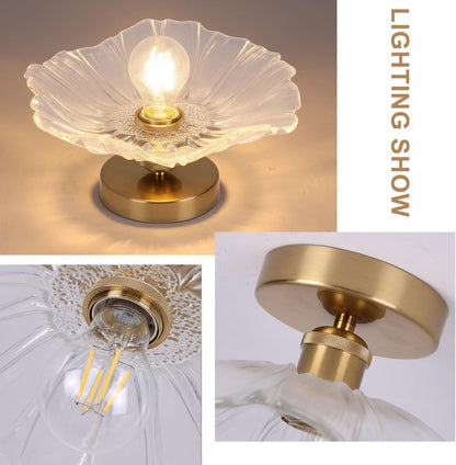 Flush Mount Ceiling Light Chandelier – Clear Glass Shade. 1-Light Fixture for Rooms