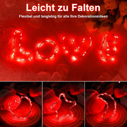 Mini Red party Fairy Lights