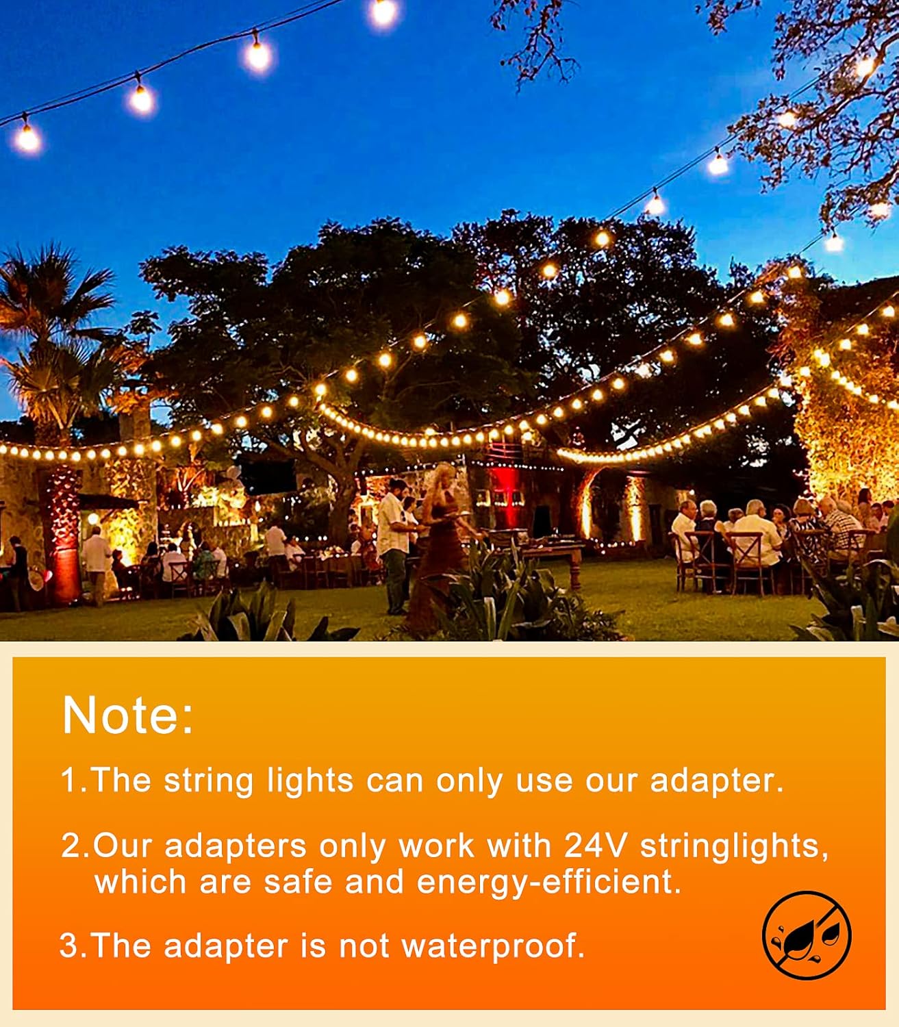 65.5ft Outdoor String Lights with Remote & Dimmable LEDs
