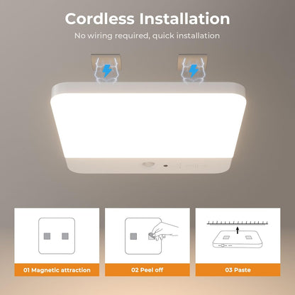 Motion Sensor Shower Ceiling Light