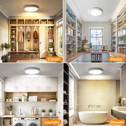 Motion Sensor Ceiling Light with Remote