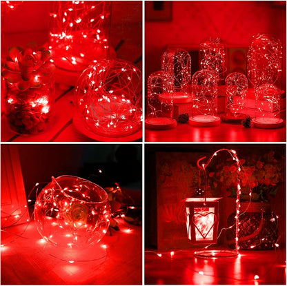 Mini Red party Fairy Lights