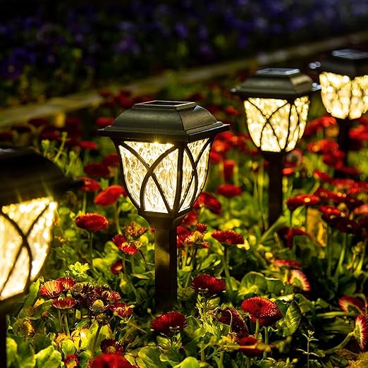 6-Pack Warm White Solar Garden Lights for Pathways
