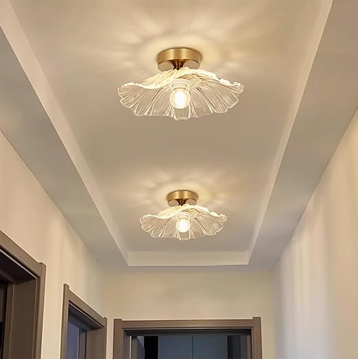 Flush Mount Ceiling Light with Clear Glass Shade. E27