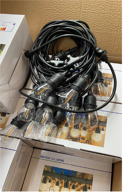 48FT LED Garden Festoon Lights