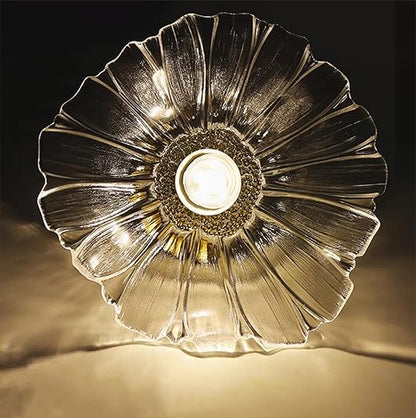 Flush Mount Ceiling Light with Clear Glass Shade. E27