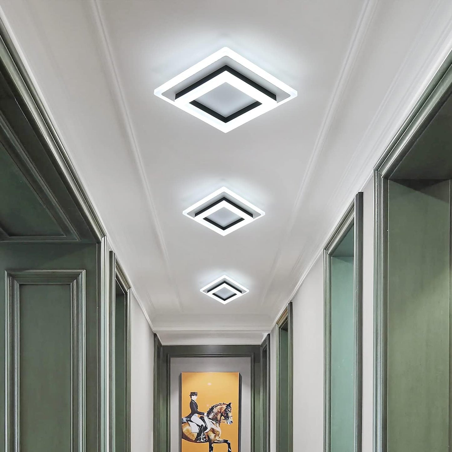 24W LED Ceiling Light. Cold White. Modern Flush Mount